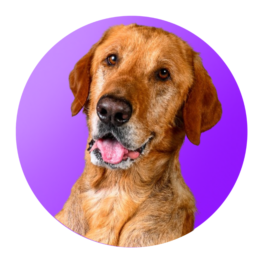 Chewy