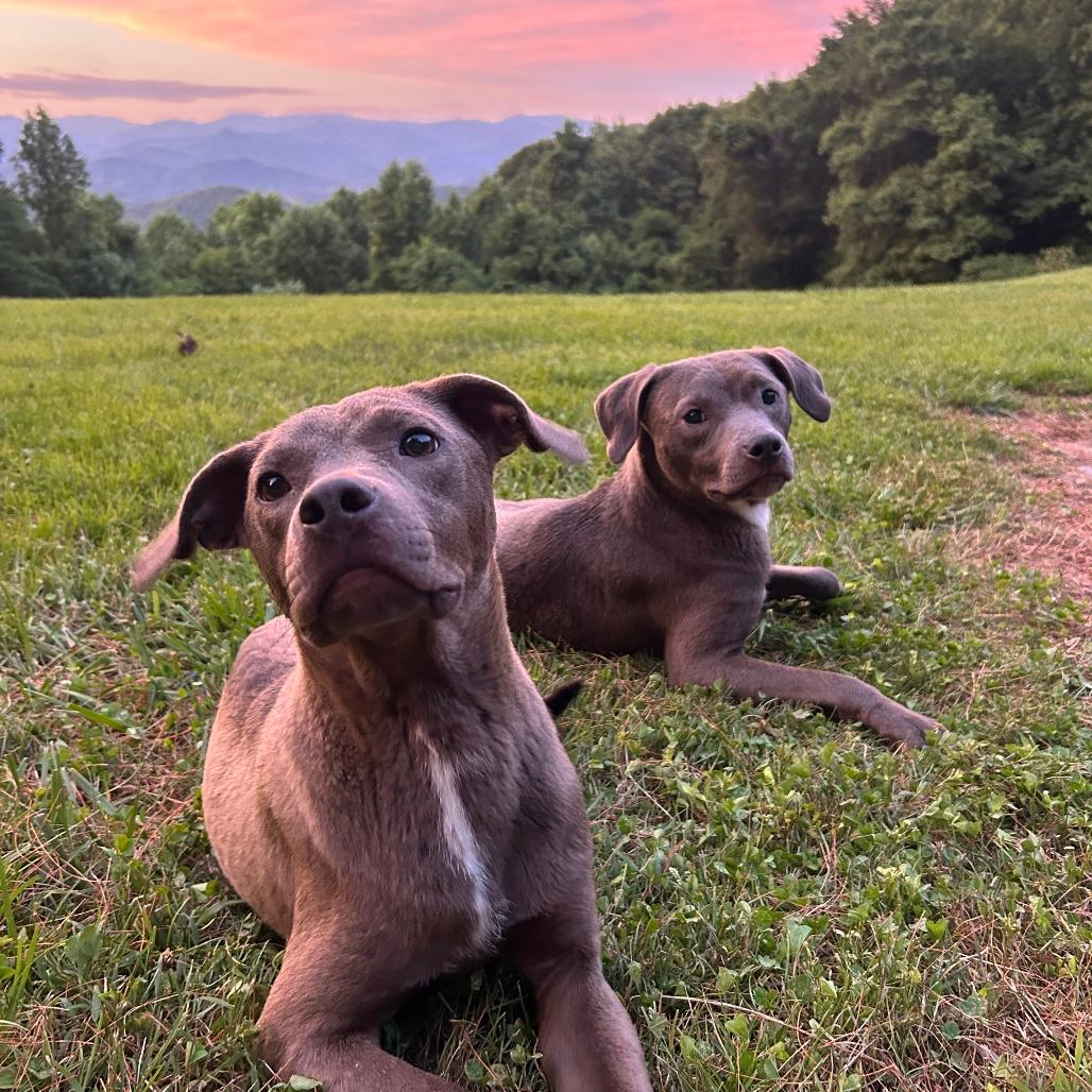 Tater & Tot* (Courtesy Listing)