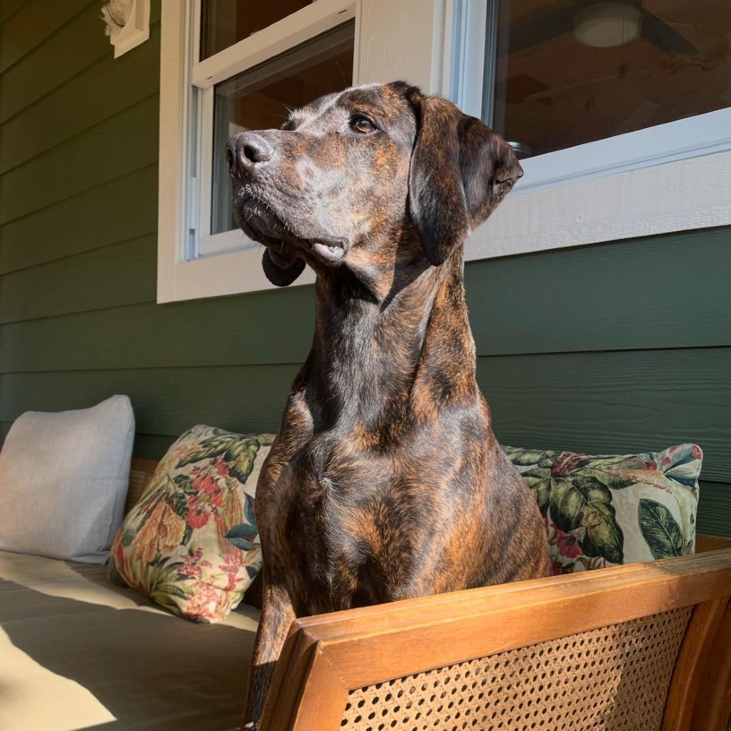 Geoffrey* (Courtesy Listing)