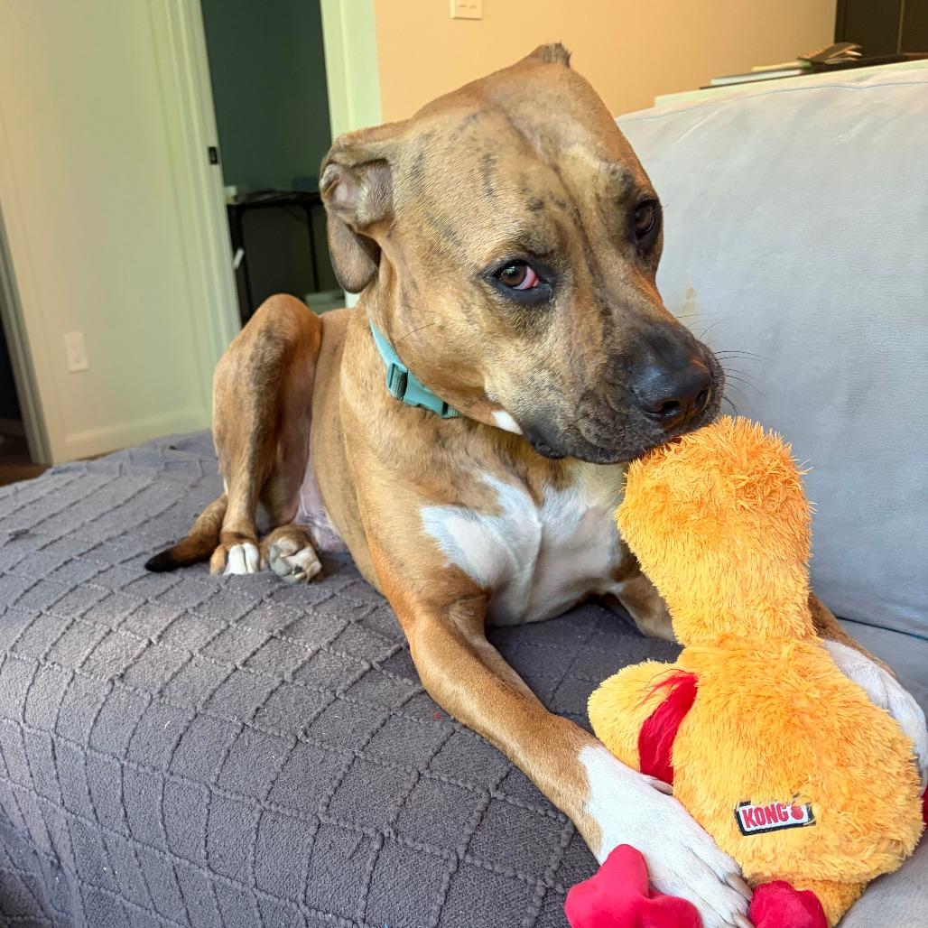 Finley* (Courtesy Listing)