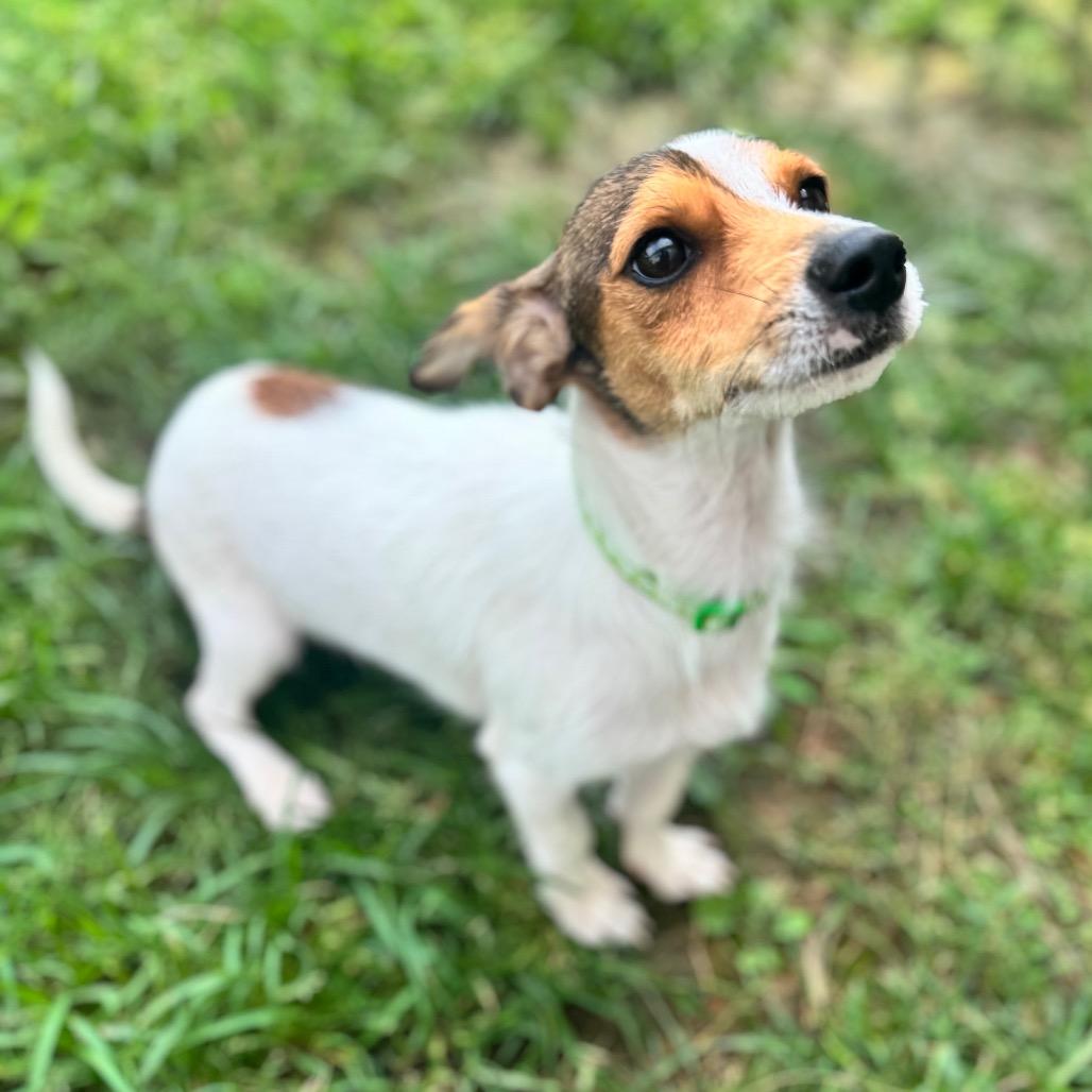 Tiny Tim