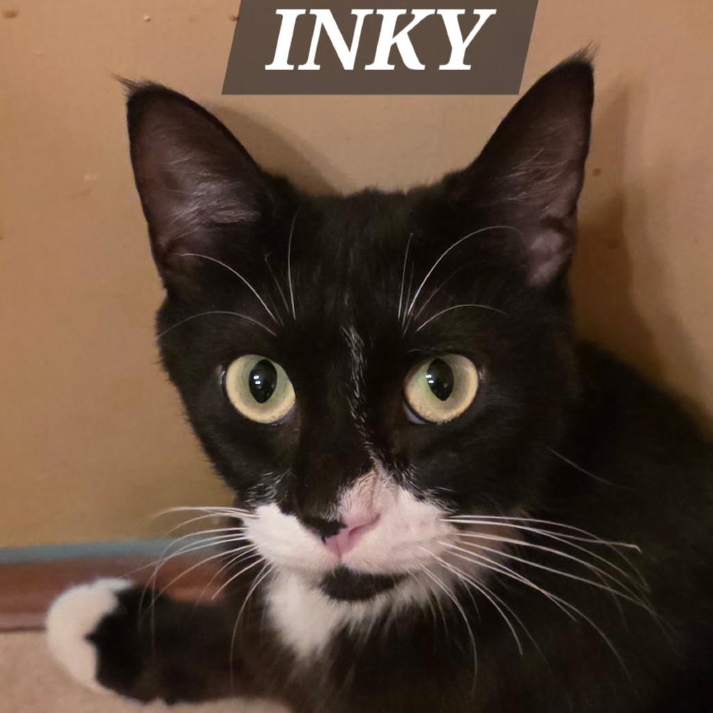 Inky
