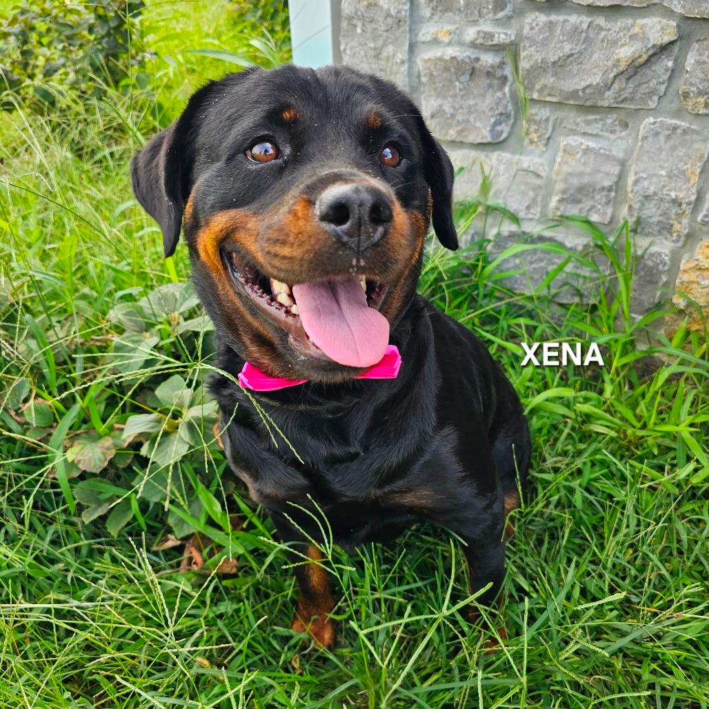 Xena 