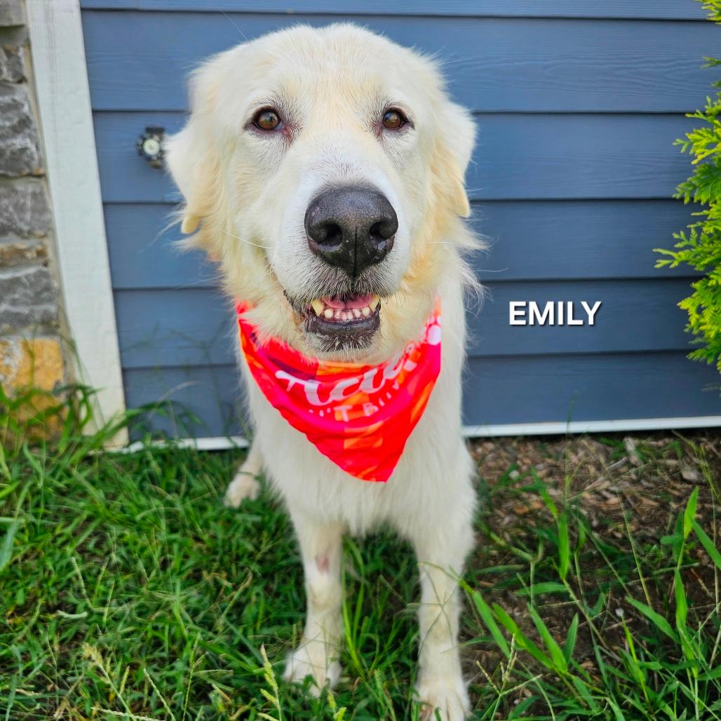 Emily