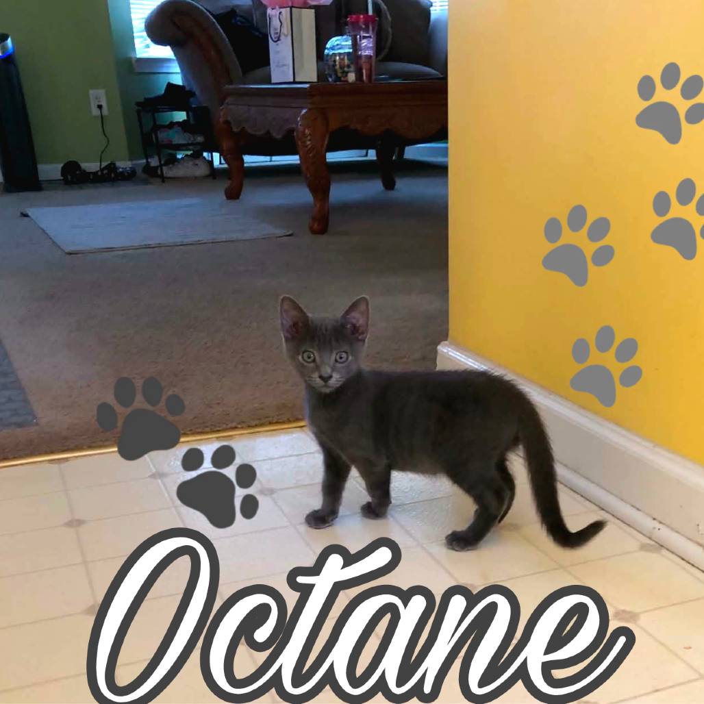 Octane