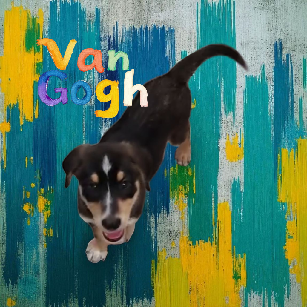 Van Gogh