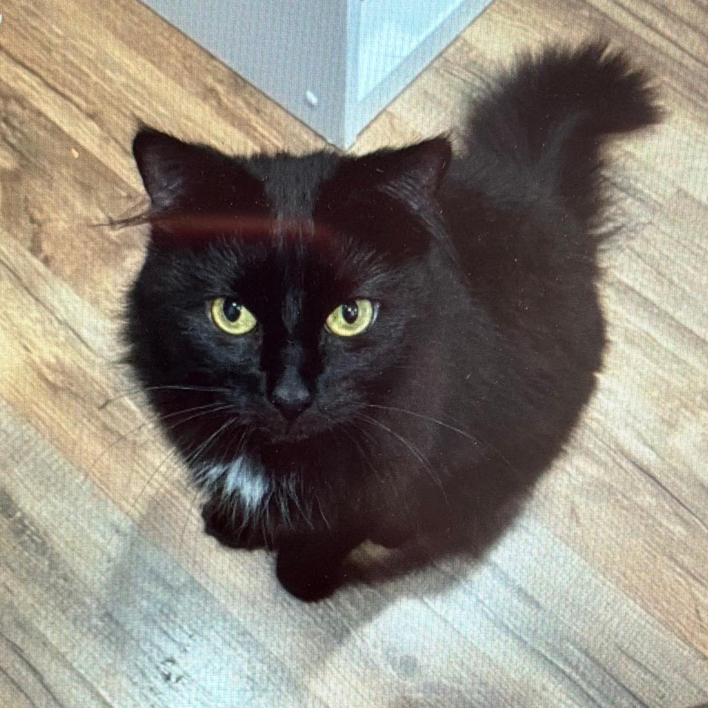 Yuki