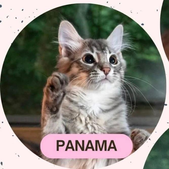 Panama
