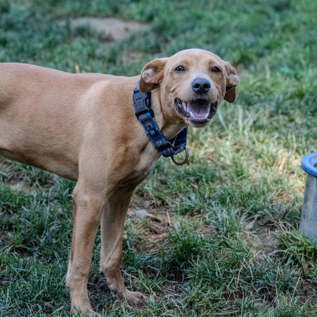 Benny