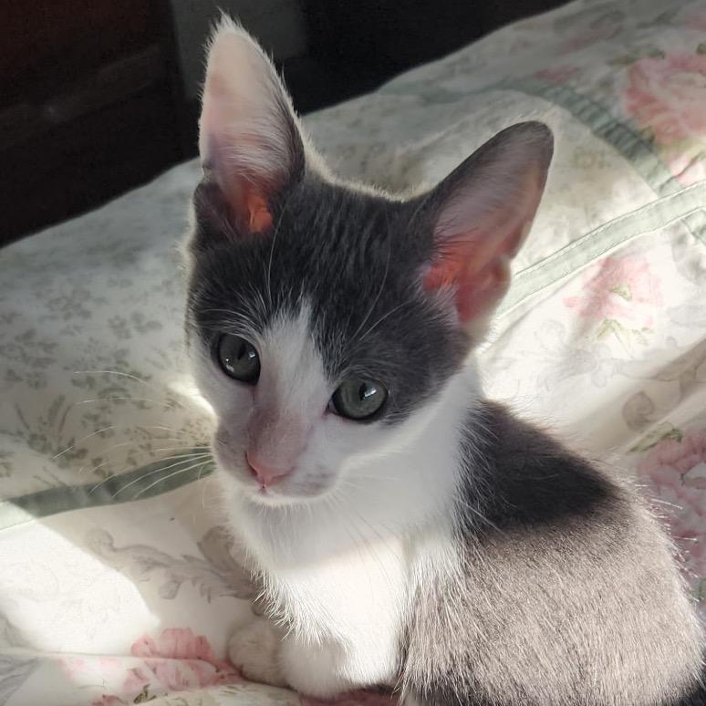 Fred