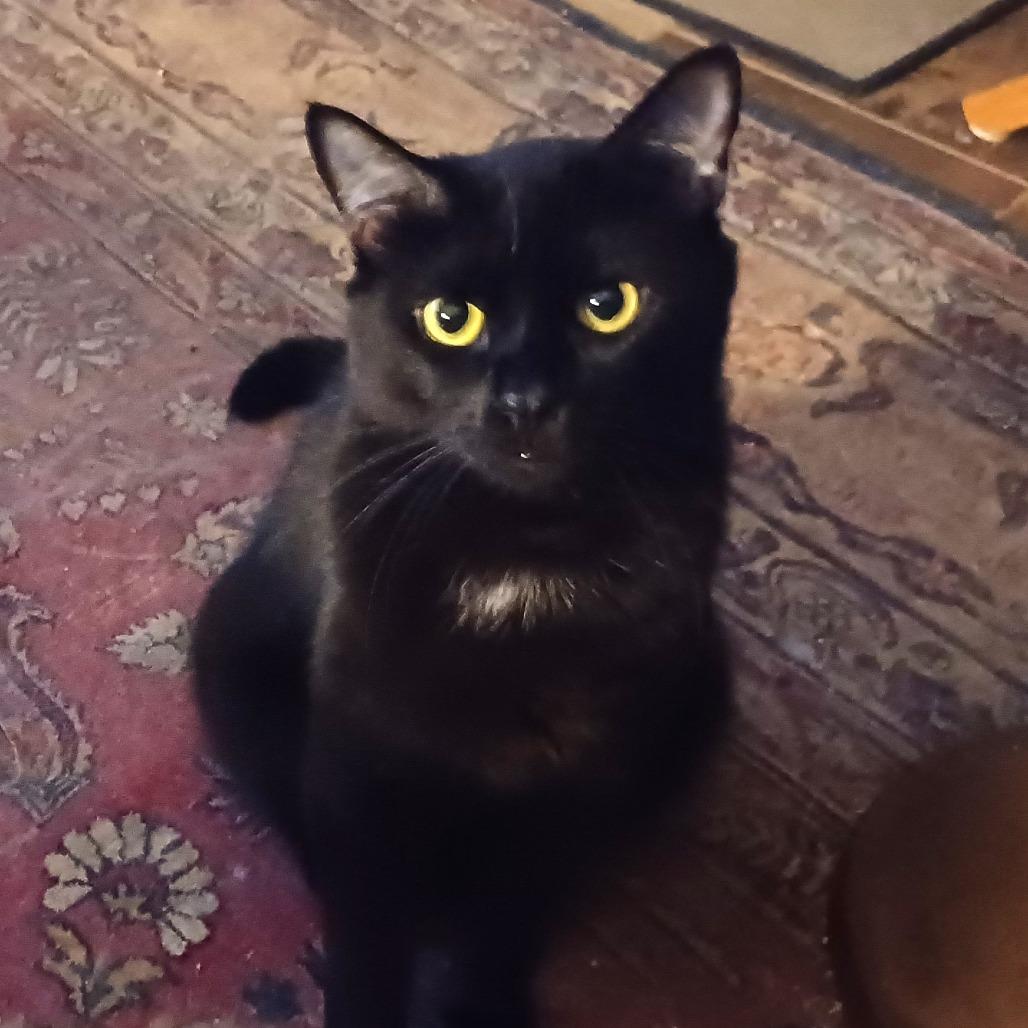 Humphrey
