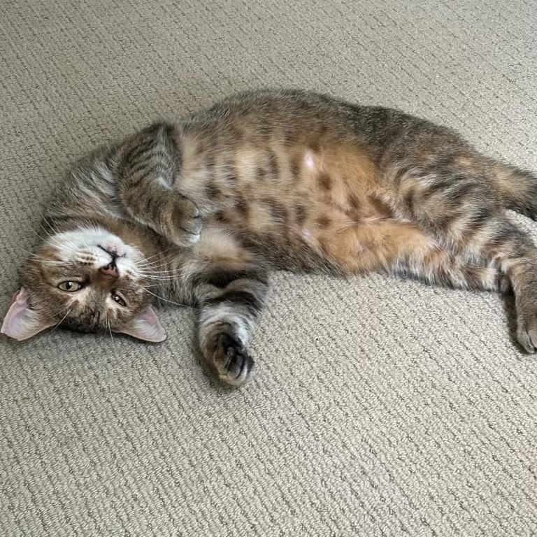 Eloise
