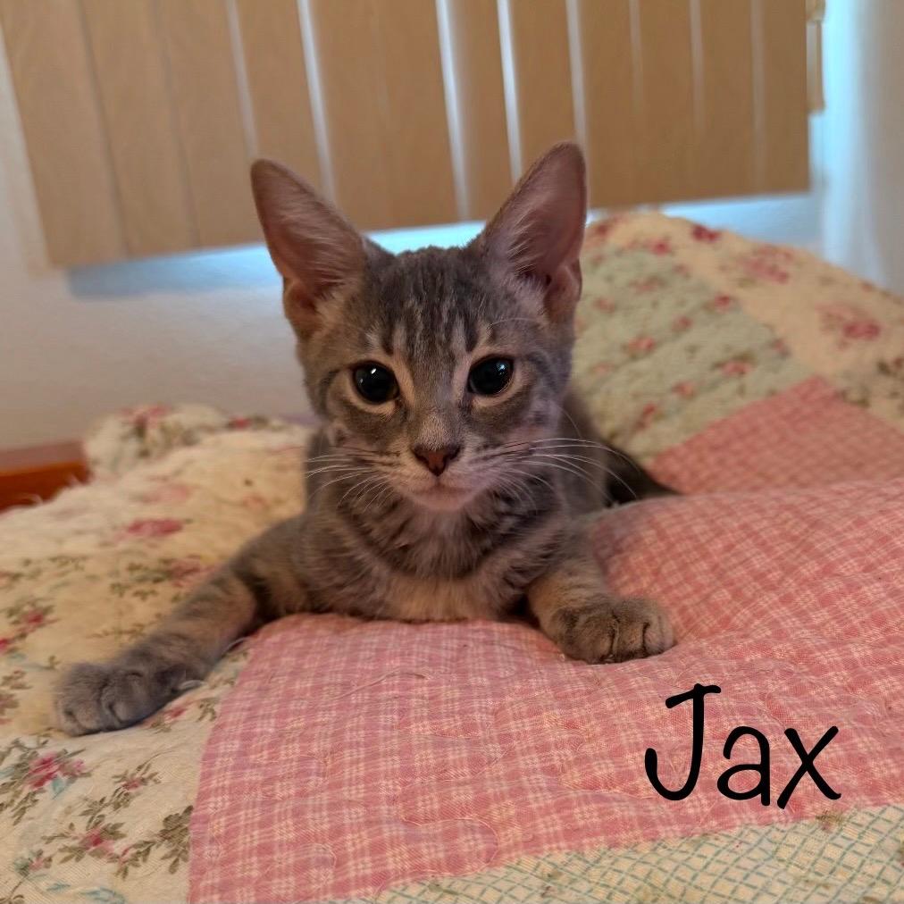 Jax