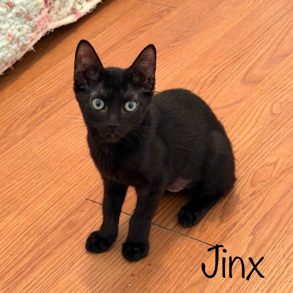 Jinx