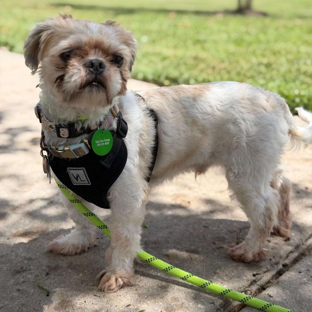 Mackie (Benefactor Dog)