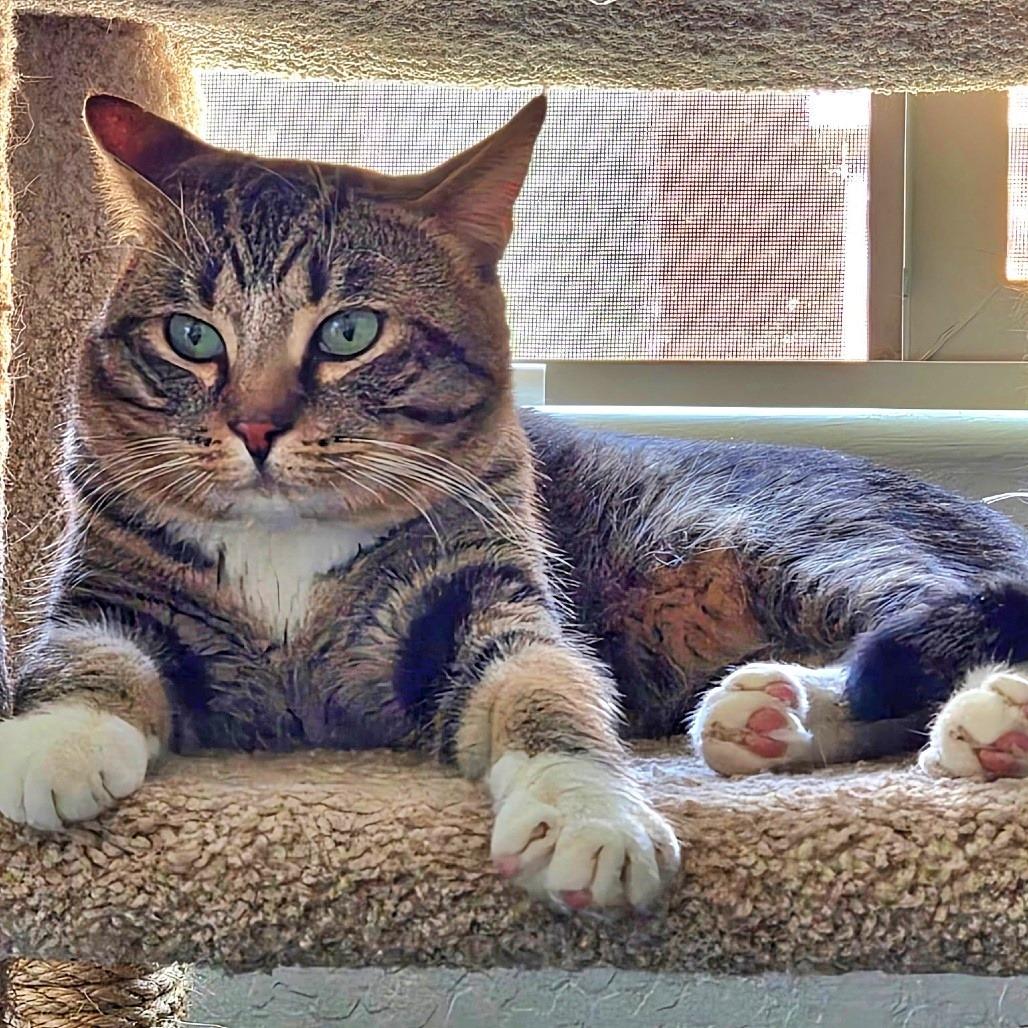 Emmie
