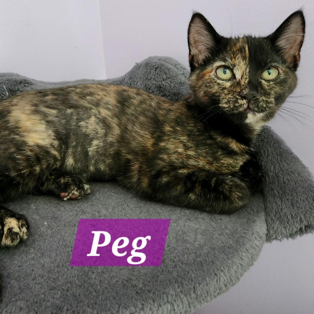Peg