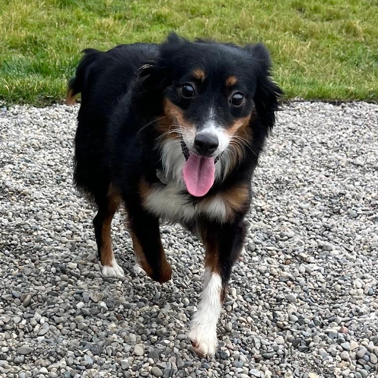 Penny