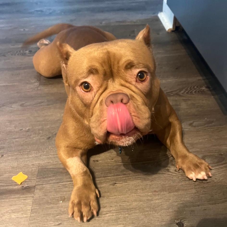 Fiona