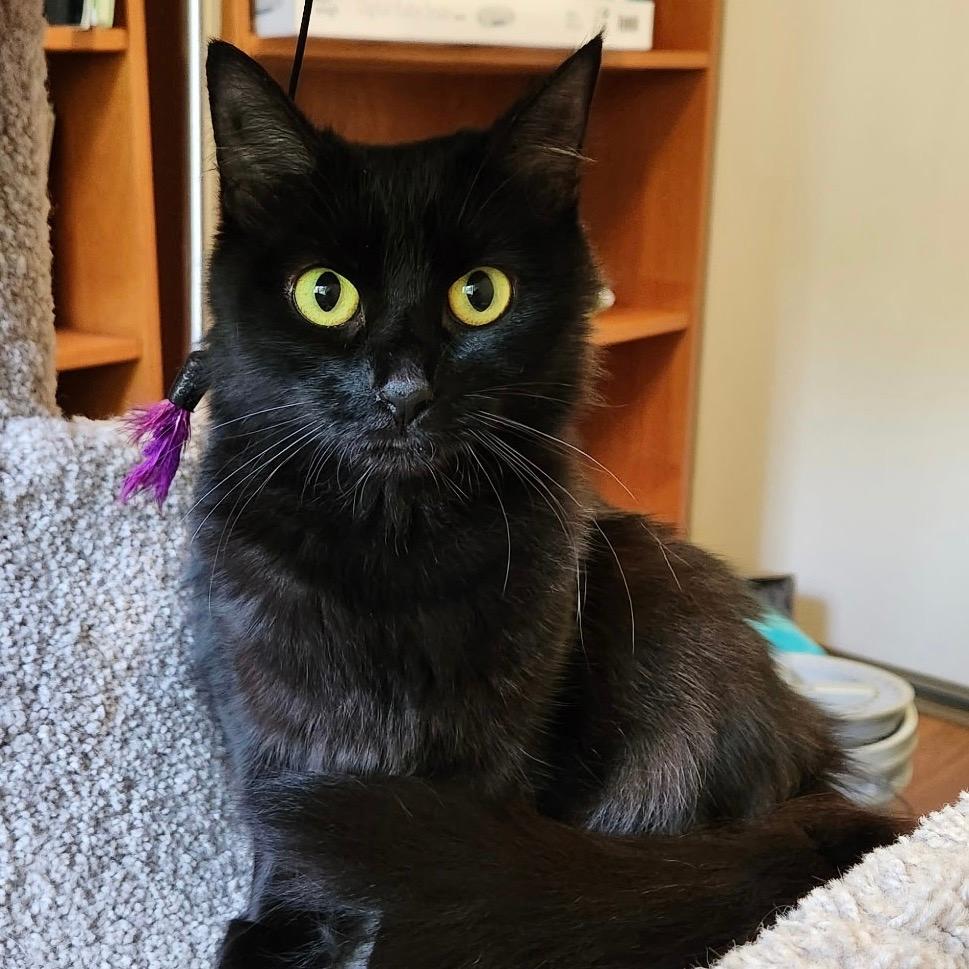   Mimi
