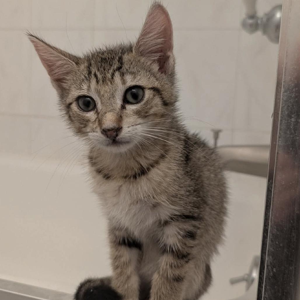 Sebastian