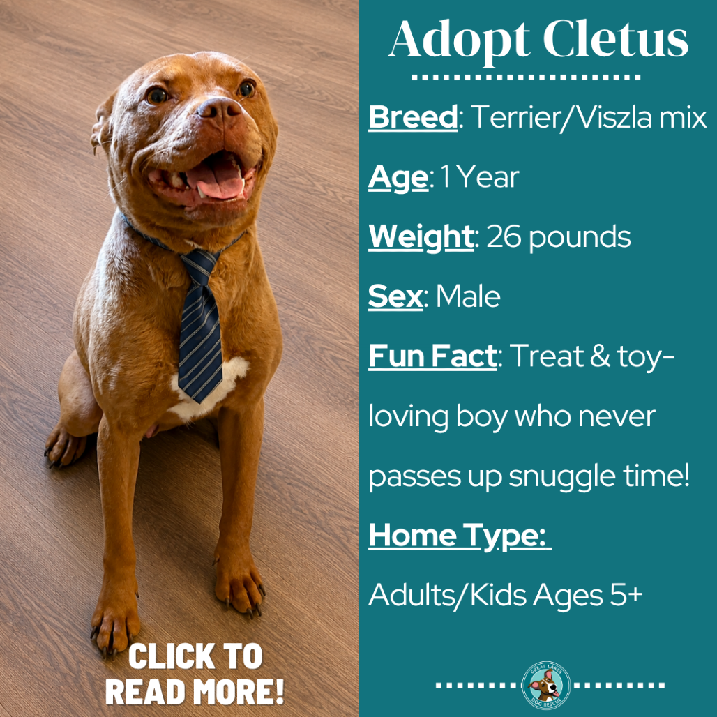 Cletus