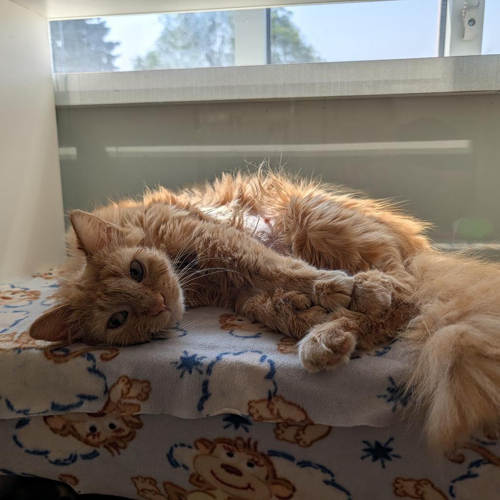 Spunky