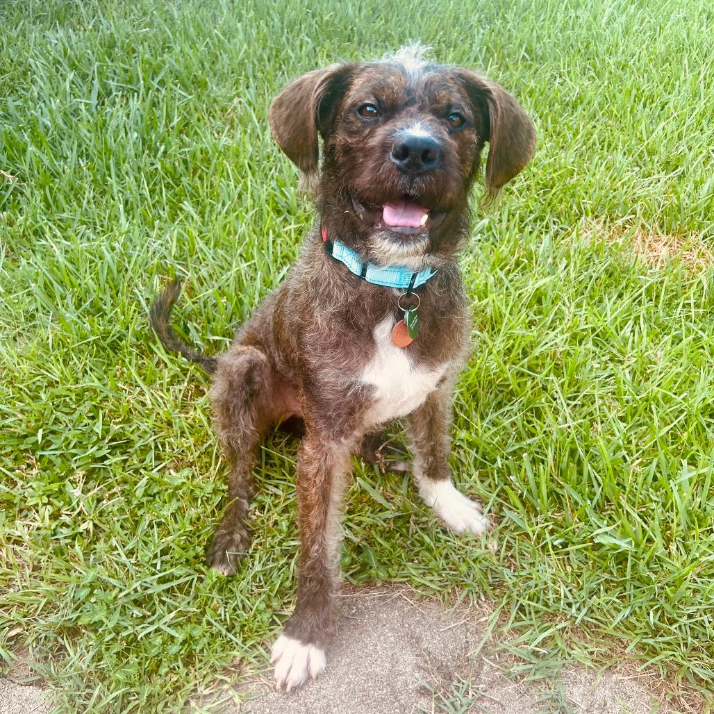 Professor Milo Thatch