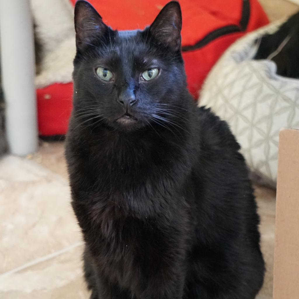 Jack