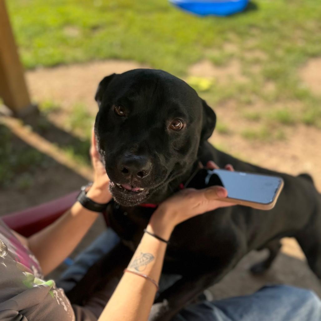 Odin