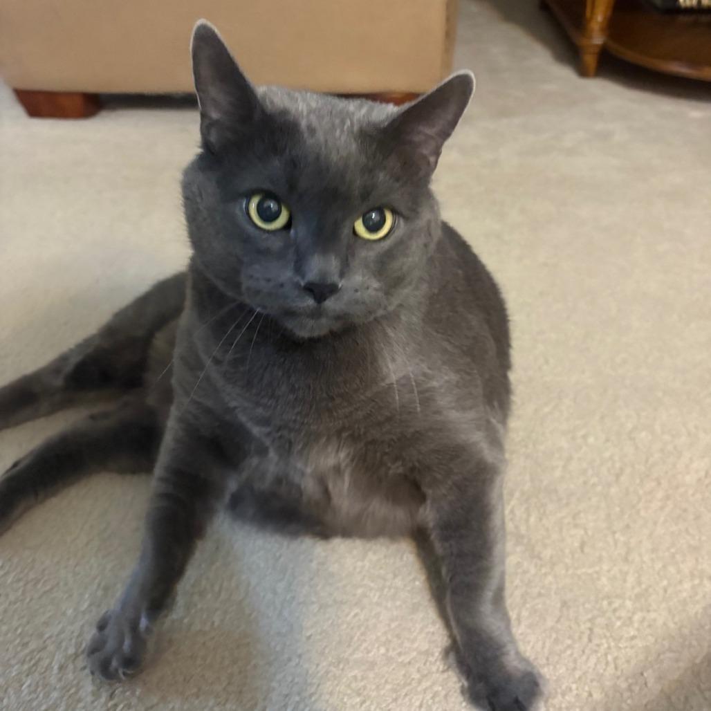 Blue (Courtesy Listing)
