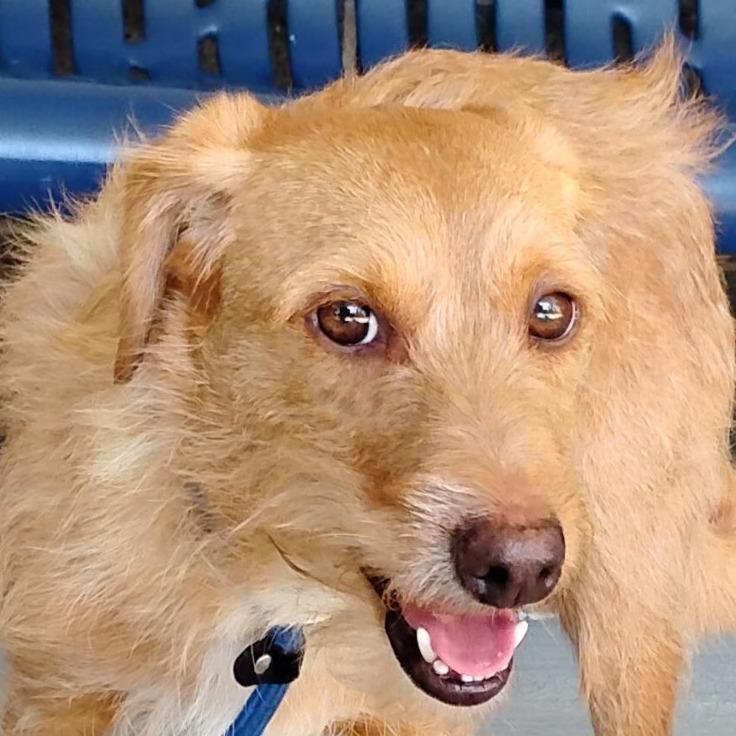 LEO