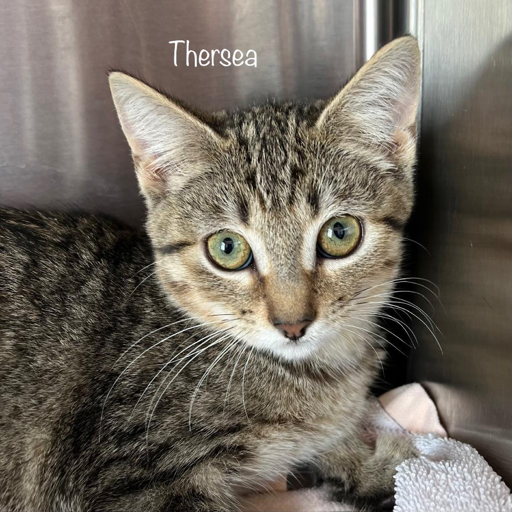 Theresa 