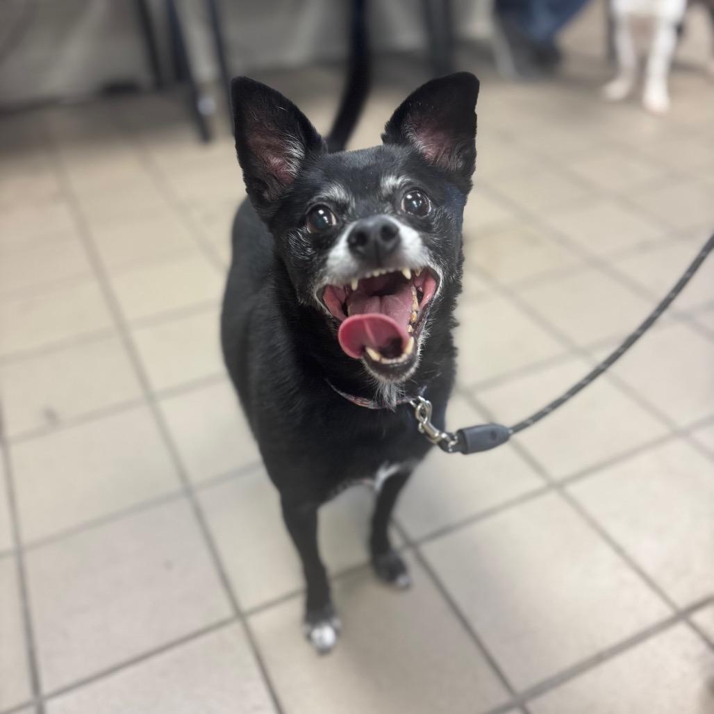 Jax