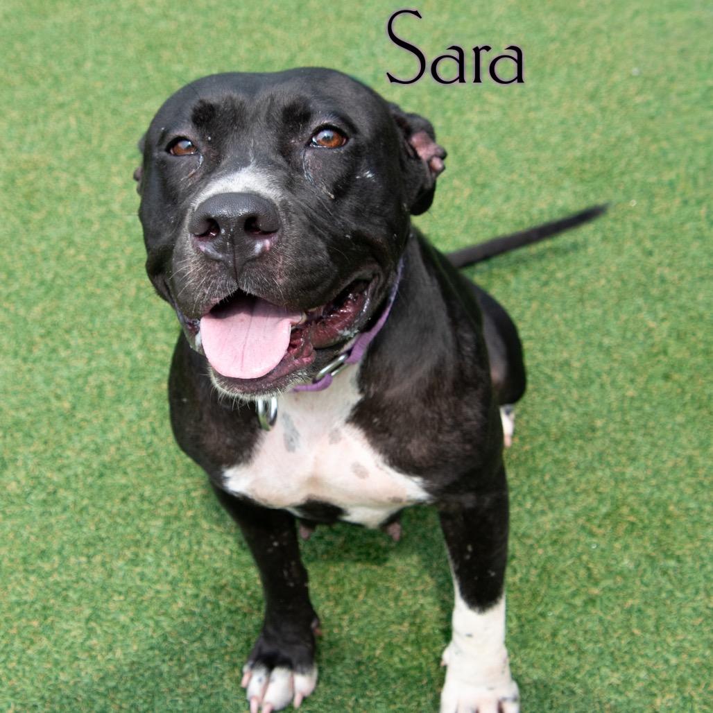 Sara