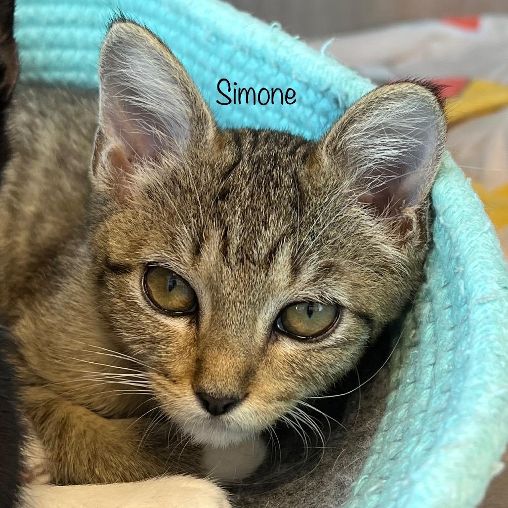 Simone