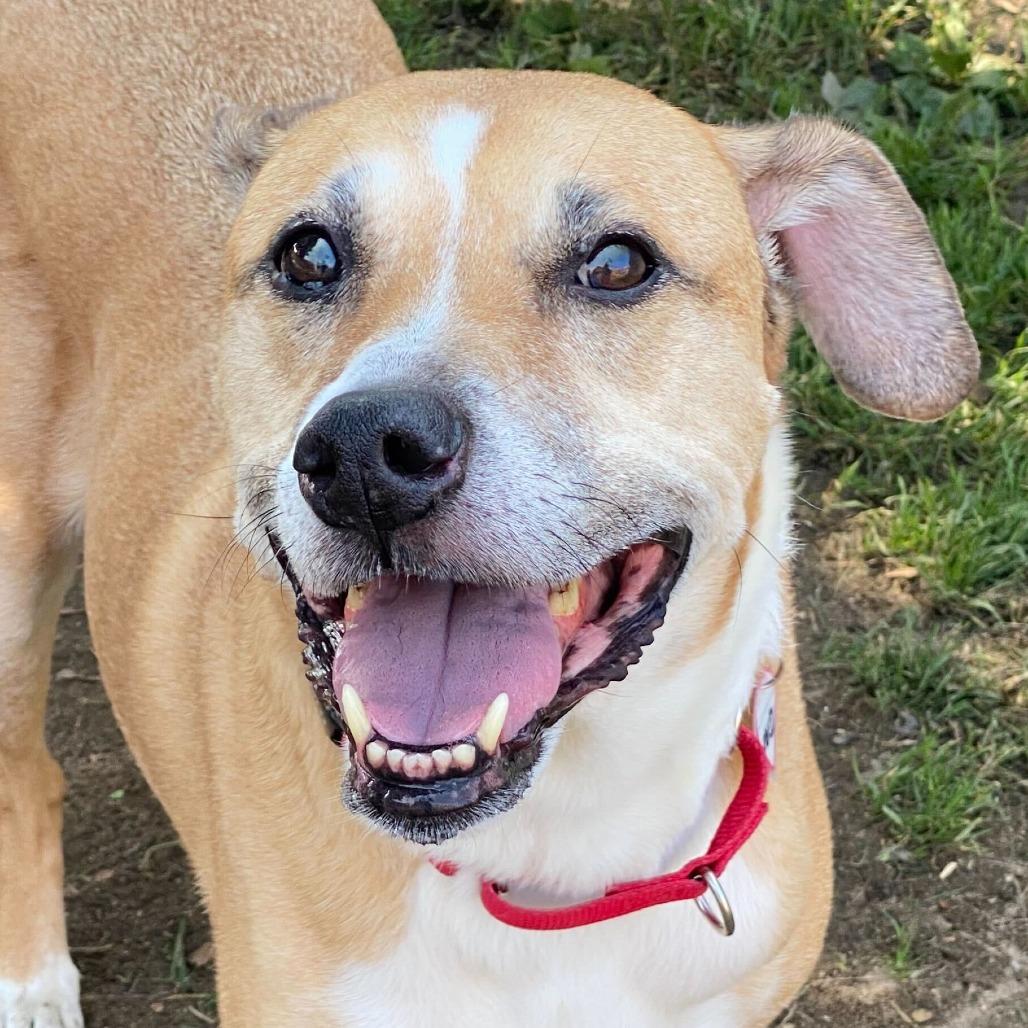 Tucker *FEE WAIVED*