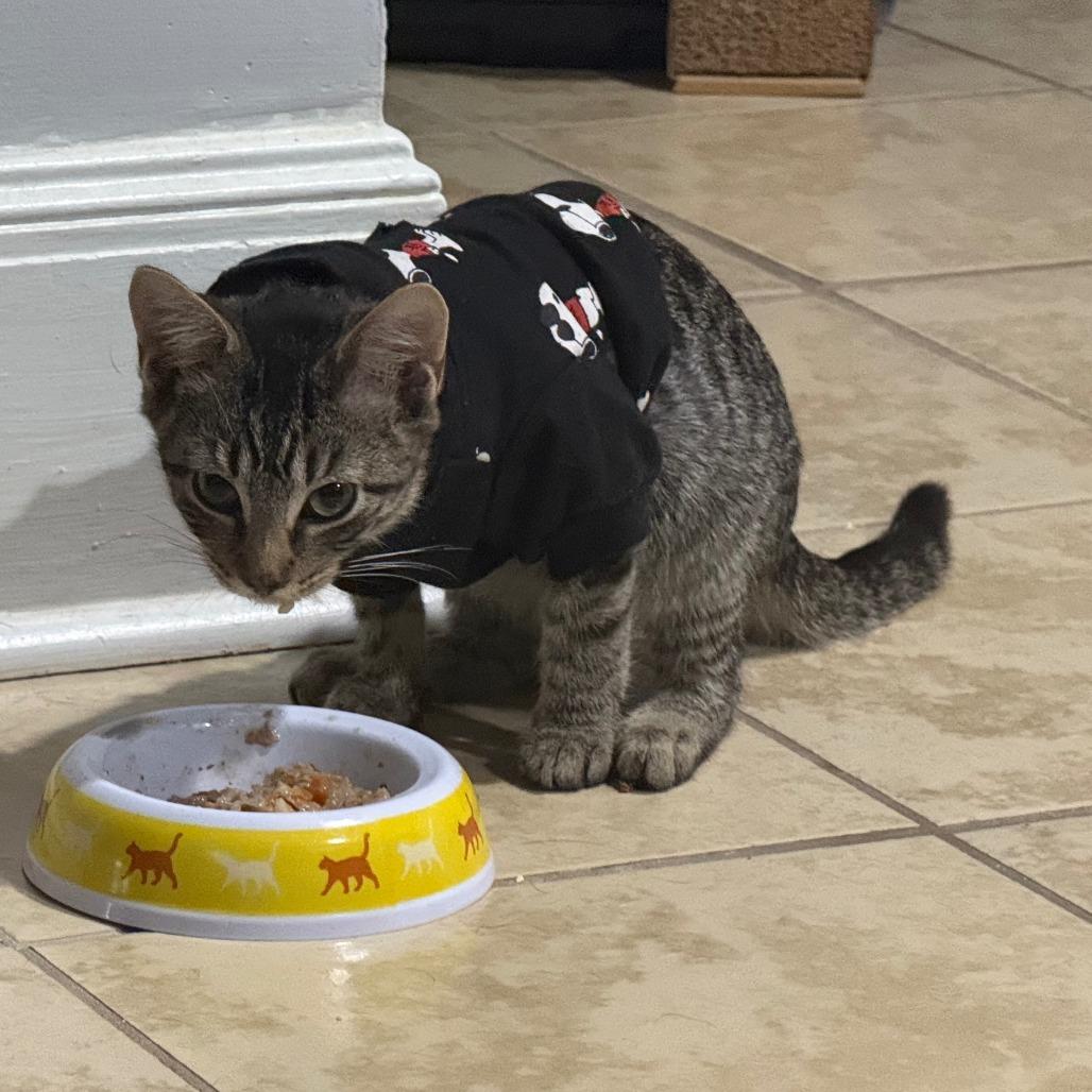 Jackpot-In Foster