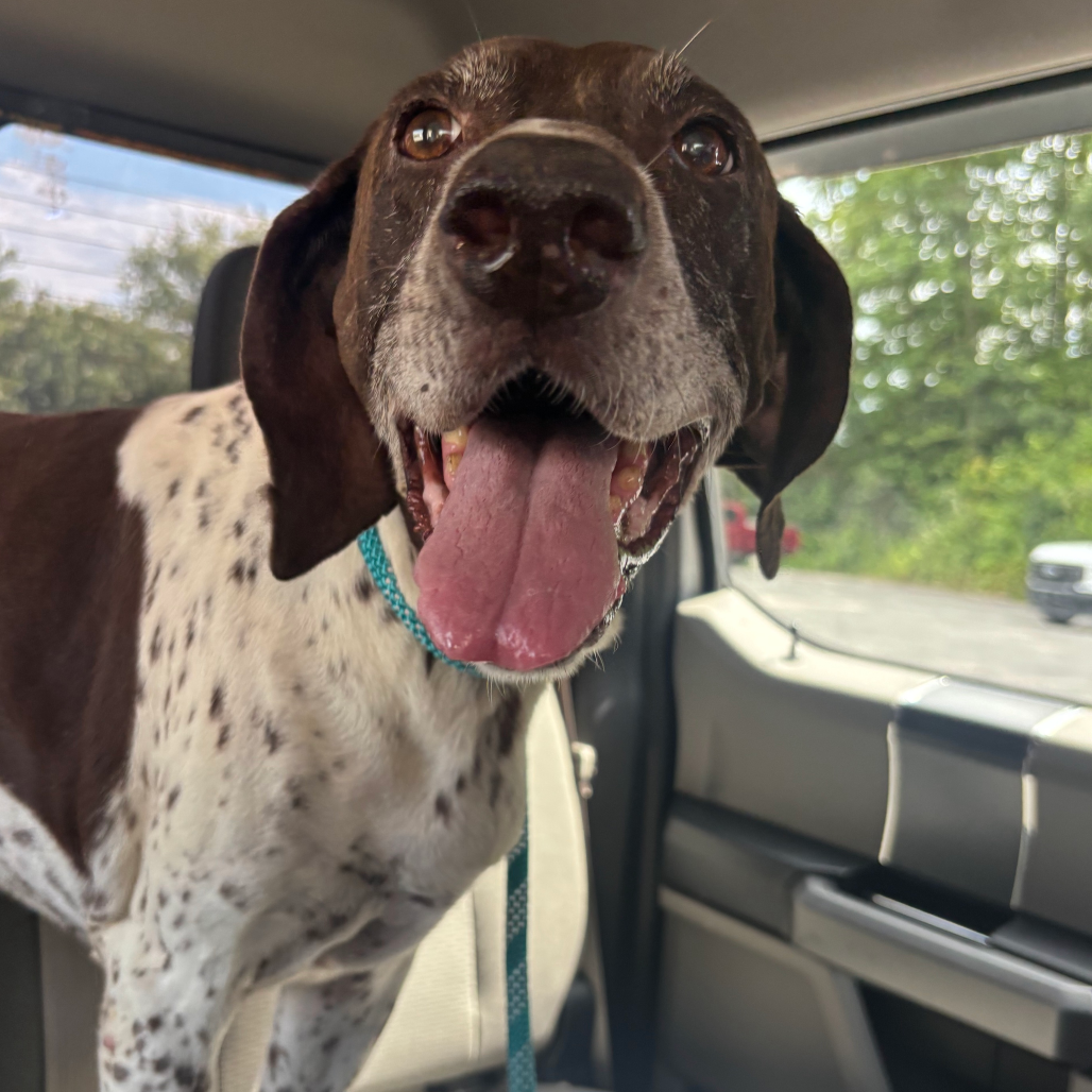 Greta