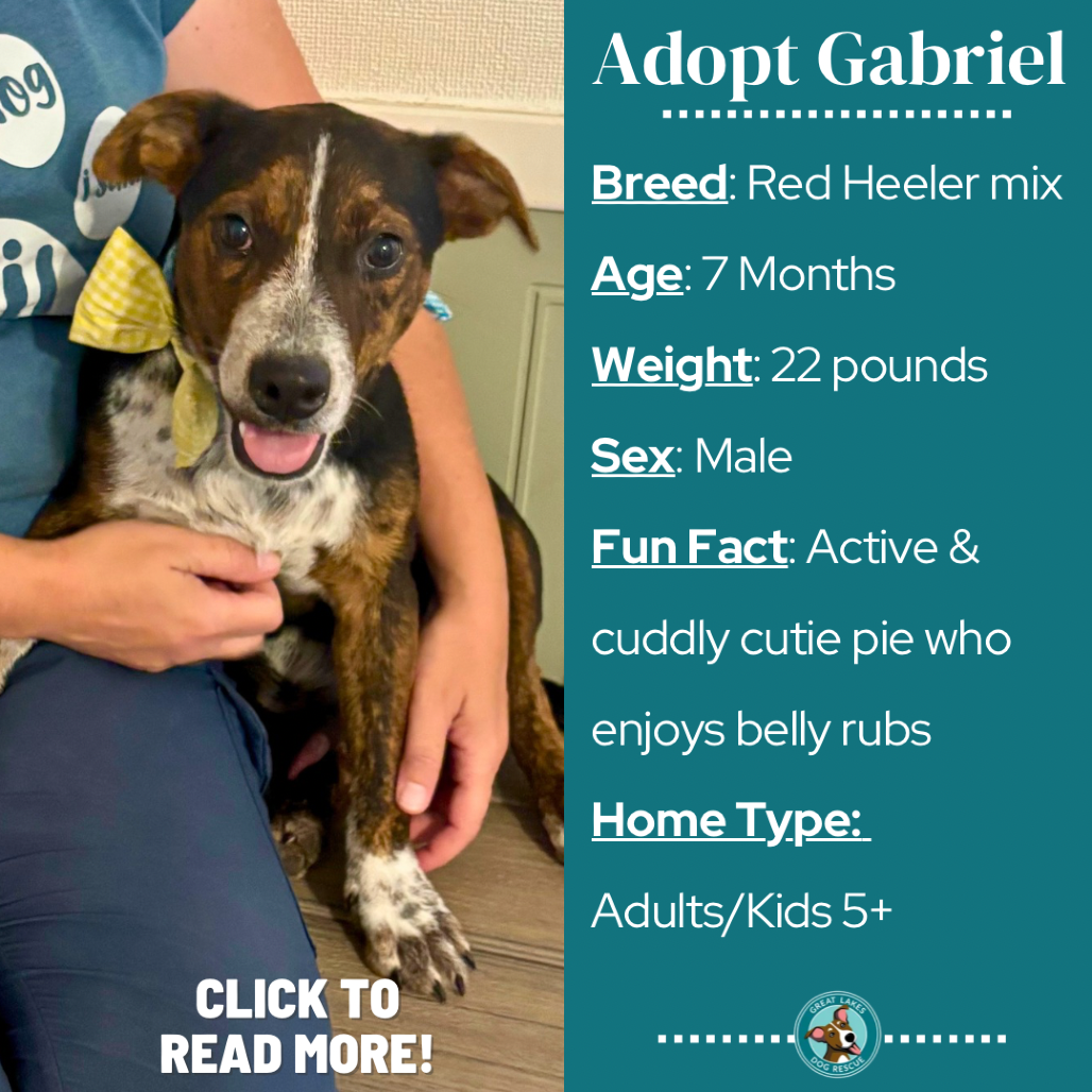 Gabriel