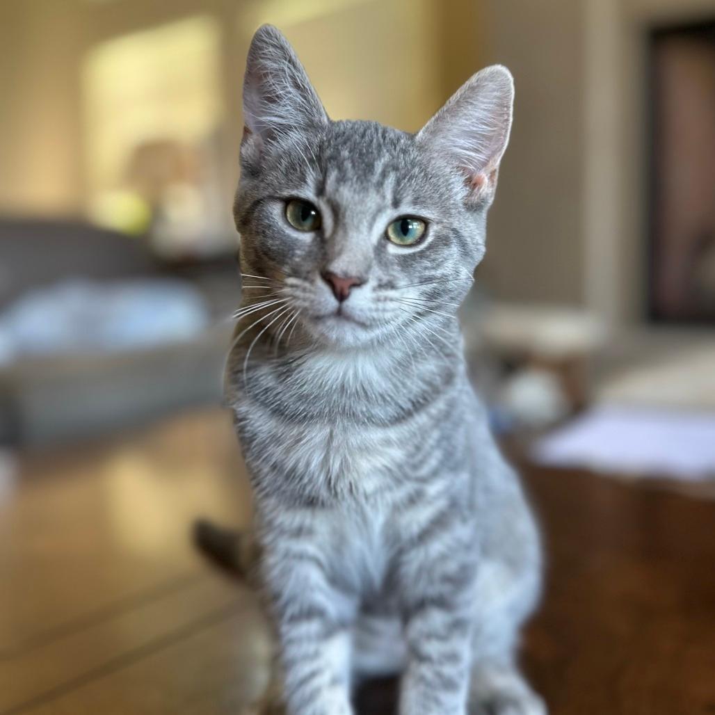Esmerelda 