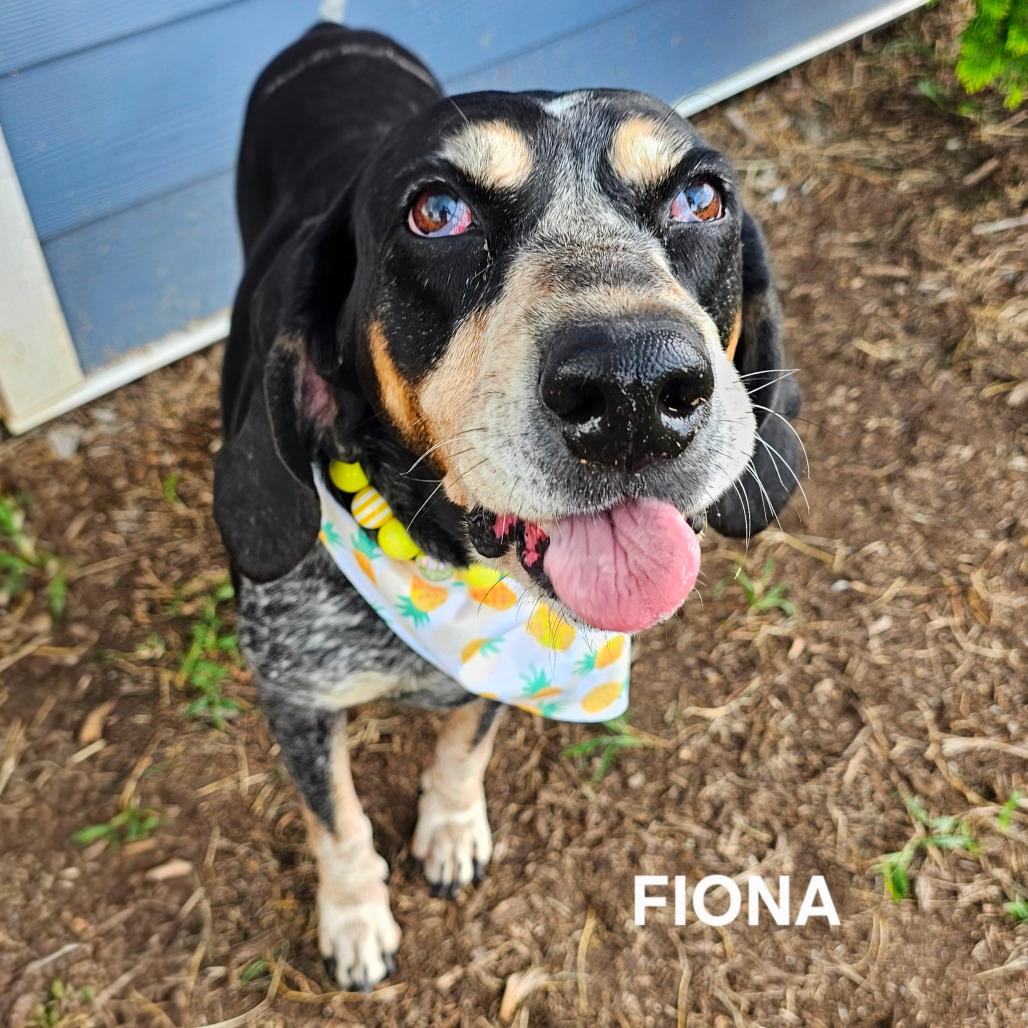 Fiona