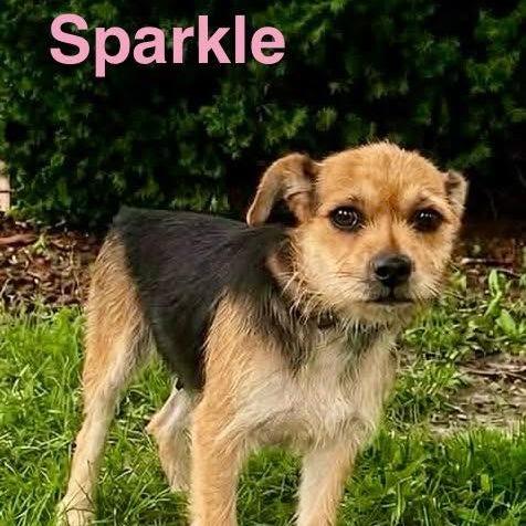 Sparkle