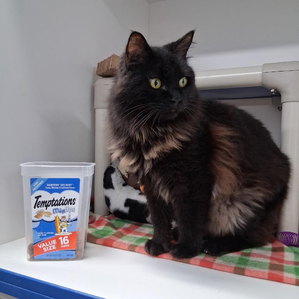 Salem