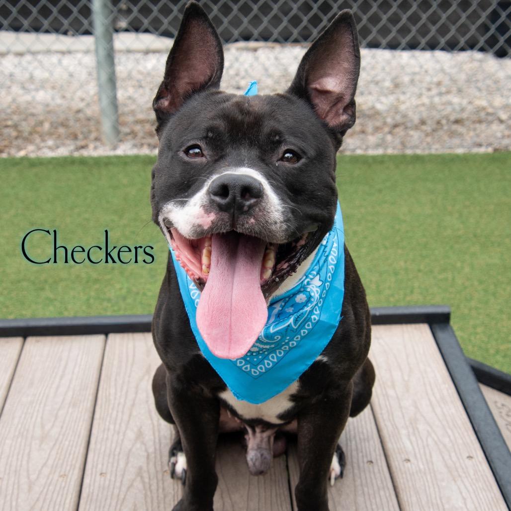 Checkers