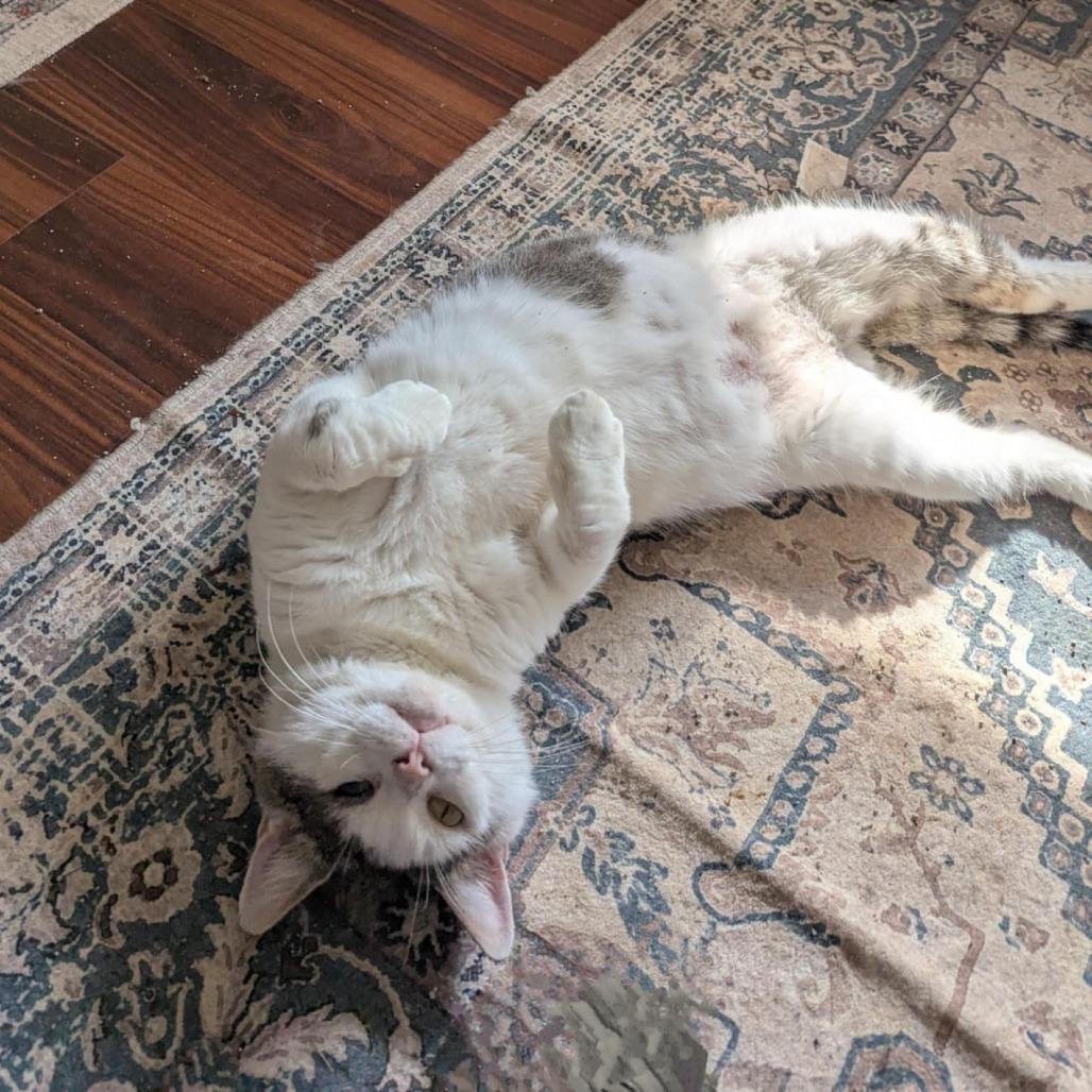 Eugene