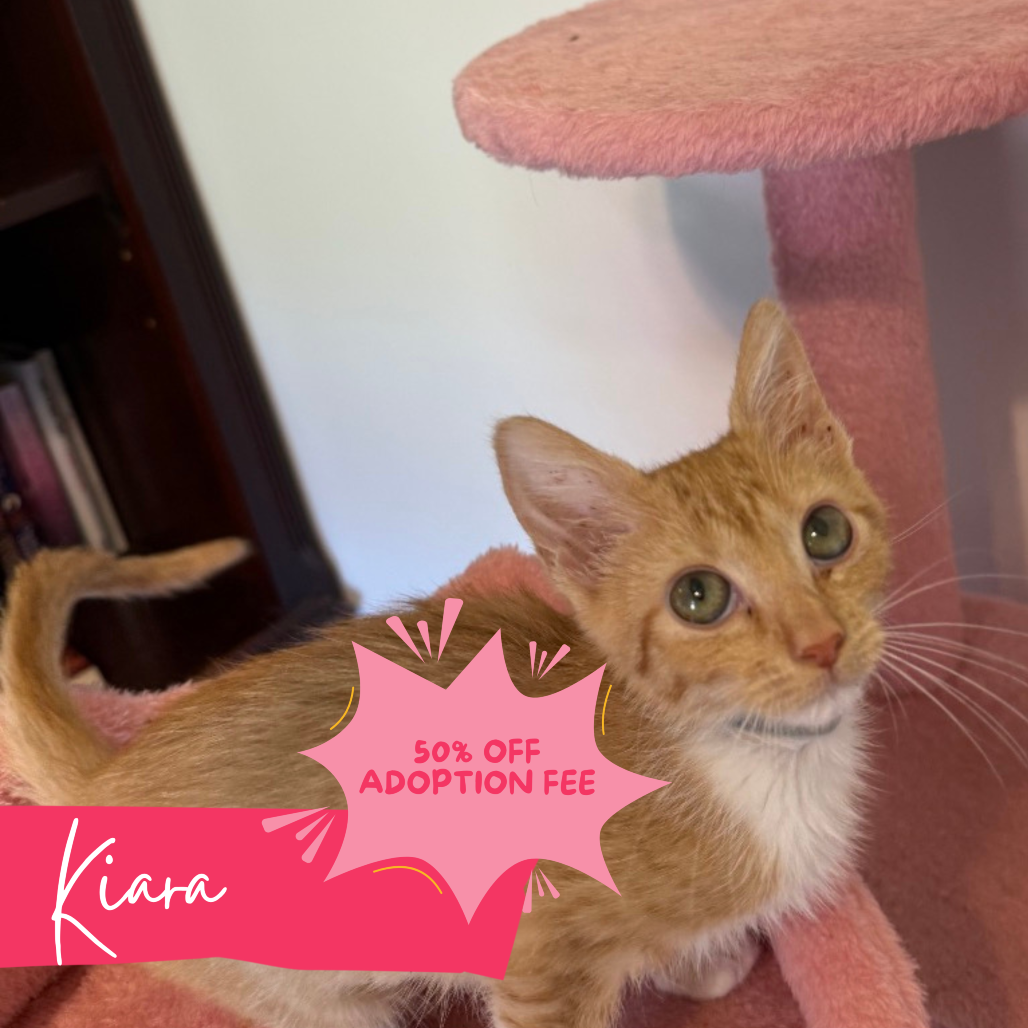 Kiara