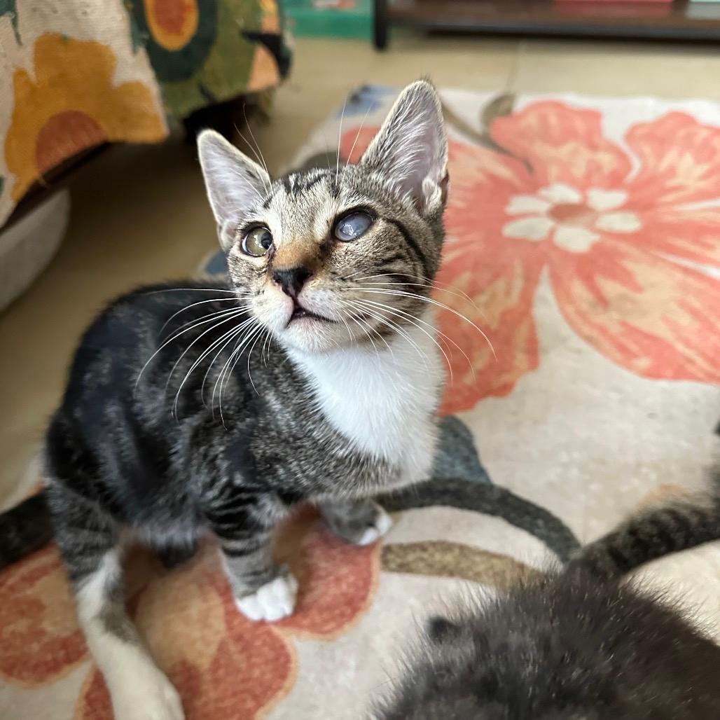 Stanley (and Meep) 