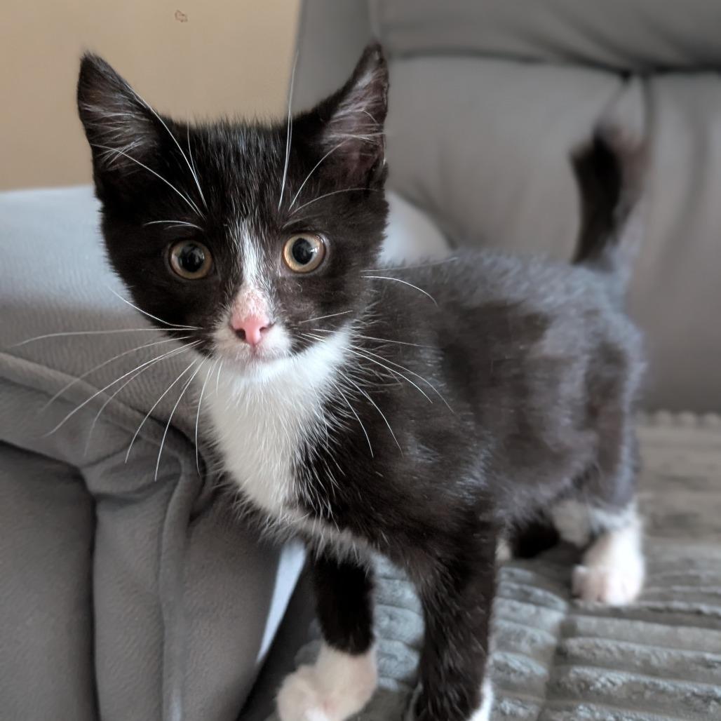 Malcolm
