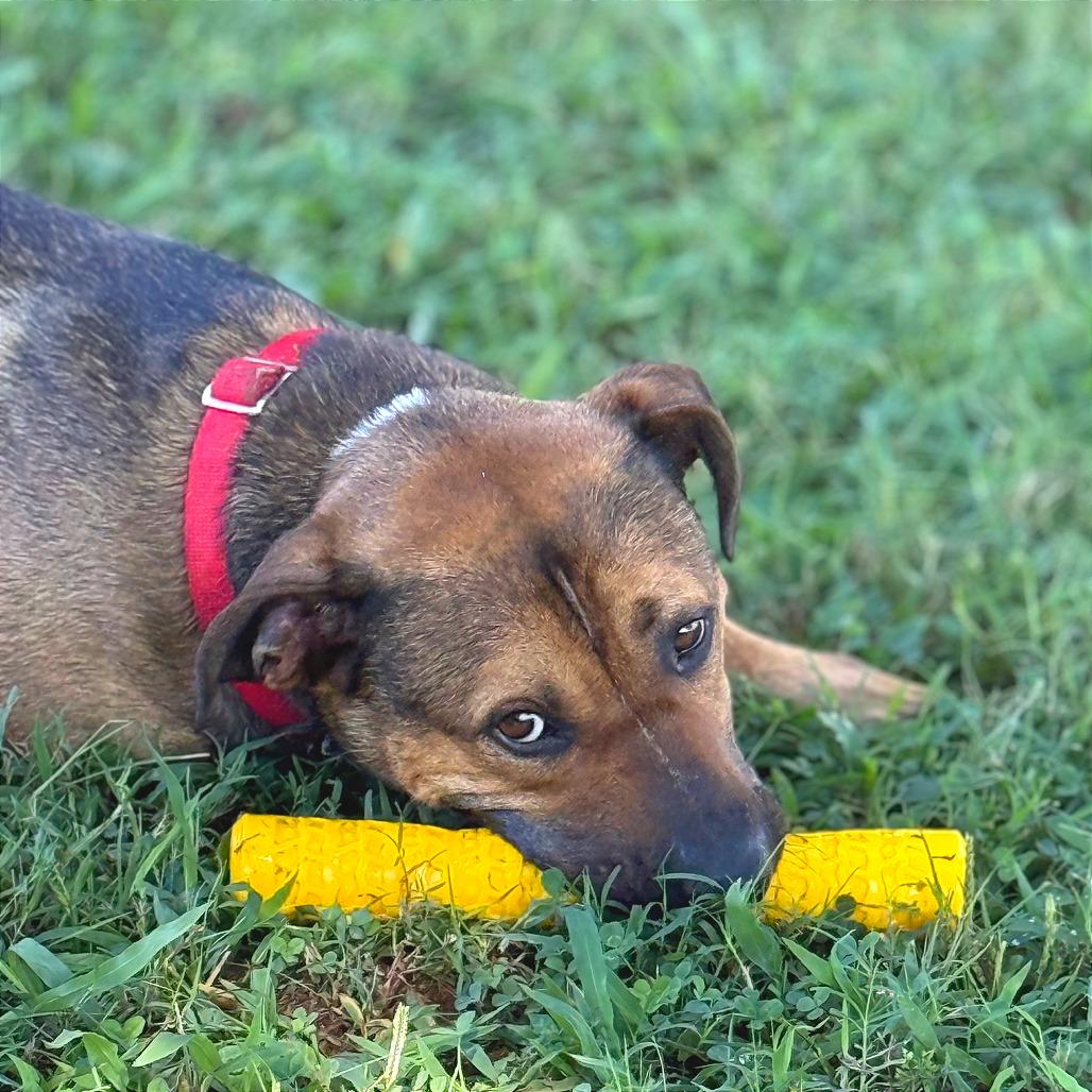 General Munchkin Man